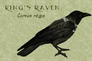 Corvus Regis