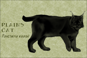 Nova Vaasan Plains Cat