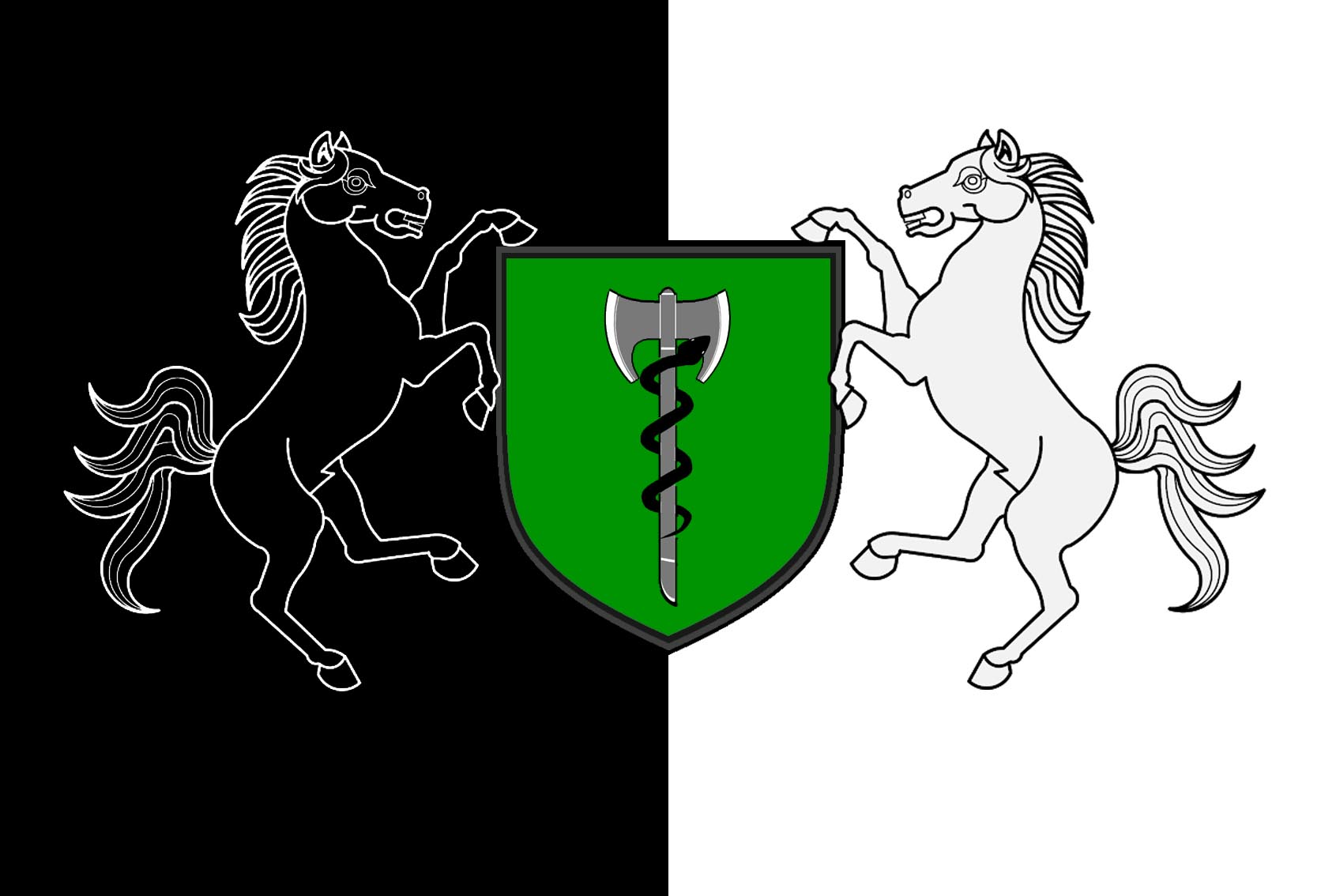 NovaVaasa_Flags_Bolshnik.jpg